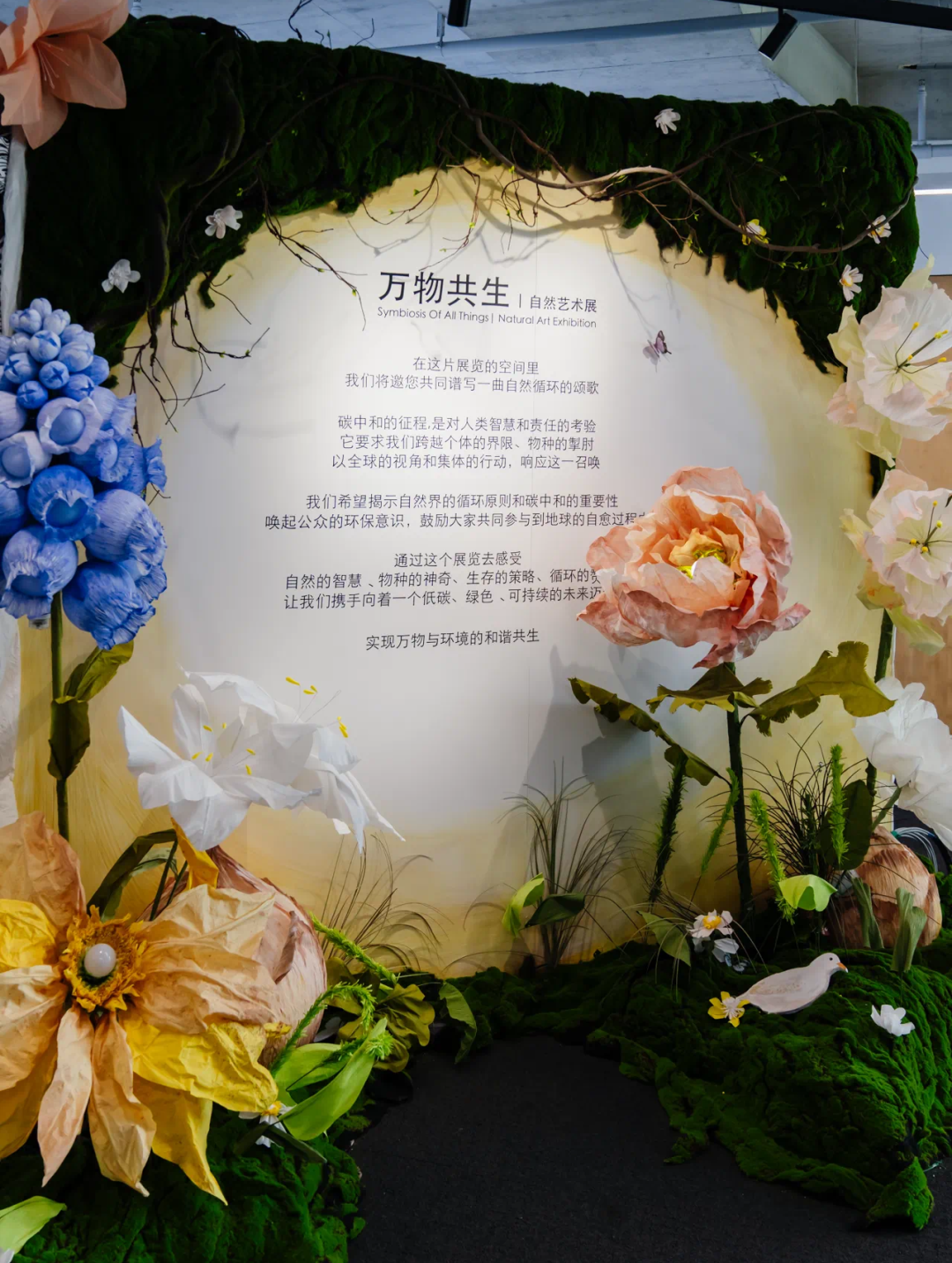 《2024年“奔跑吧·少年”大湾区躲避盘赛报名开启》