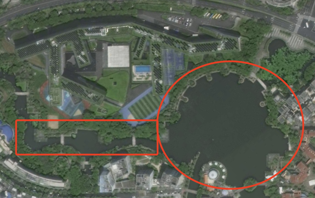 《2024年“奔跑吧·少年”大湾区躲避盘赛报名开启》